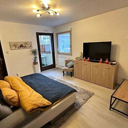 Ferienwohnung Superbe F2 Terrasse, Route Du Vin, Florival Guebwiller Exterior foto
