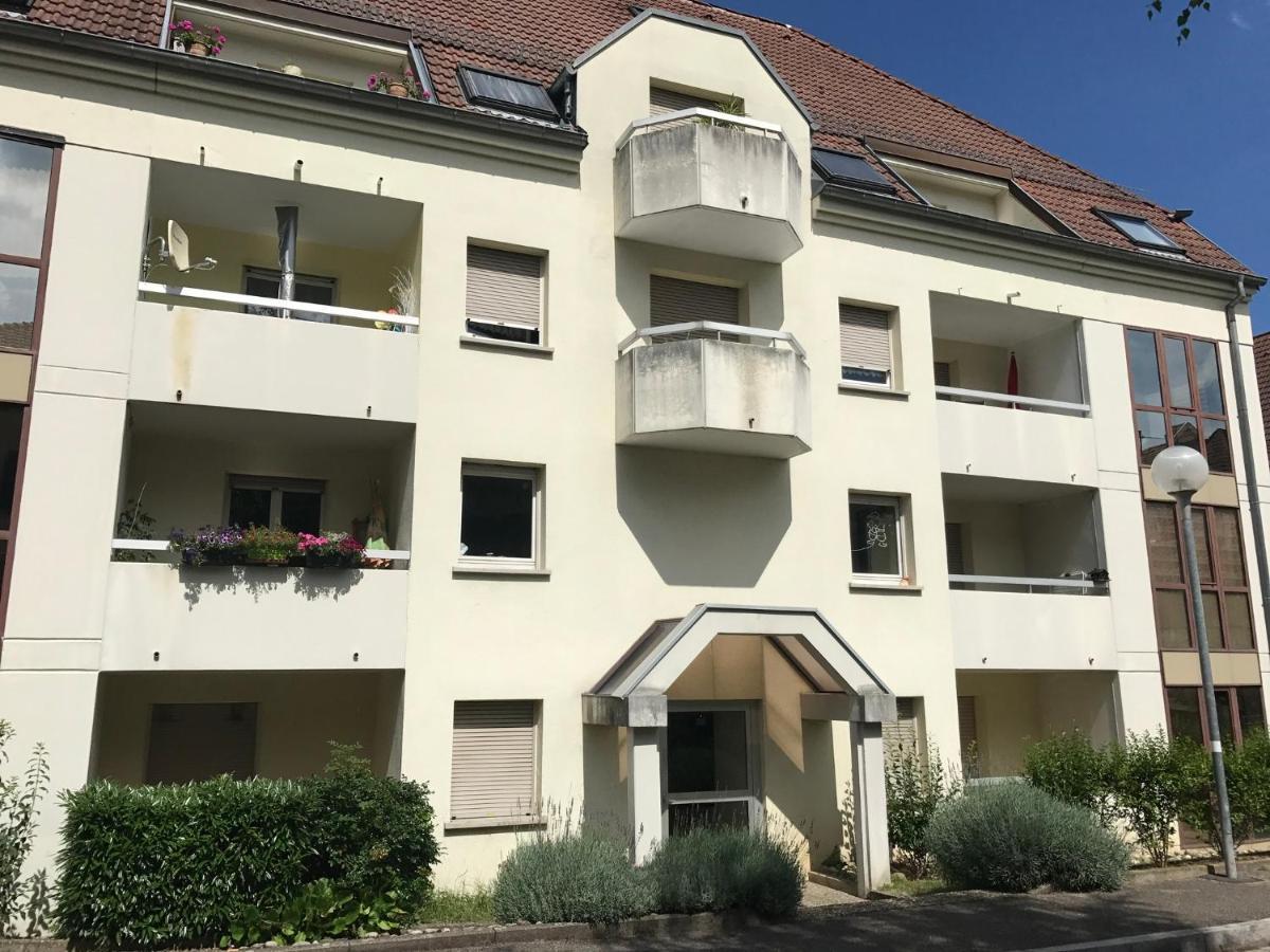 Ferienwohnung Superbe F2 Terrasse, Route Du Vin, Florival Guebwiller Exterior foto